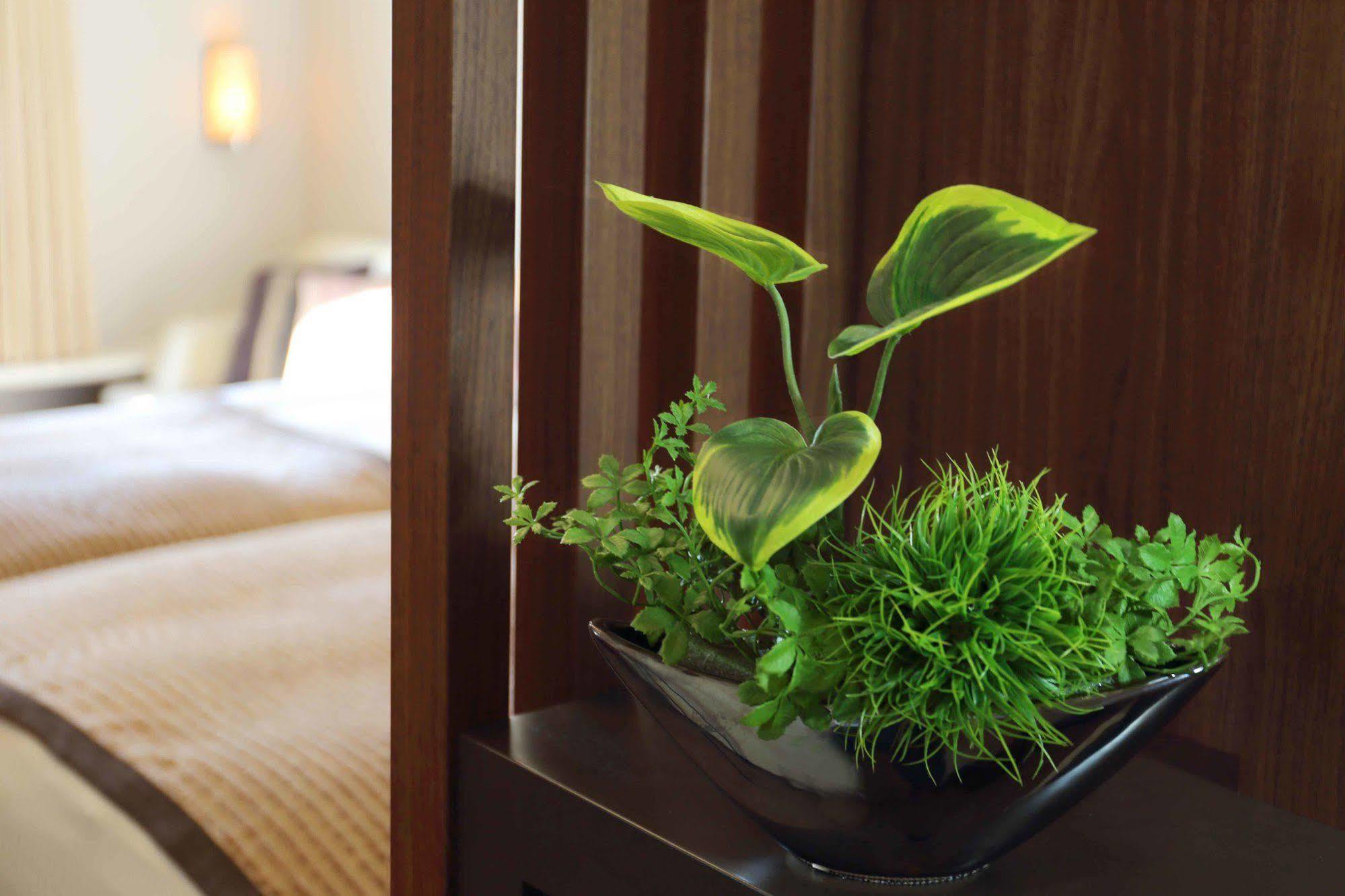 Tokyo Bay Maihama Hotel Τσίμπα Εξωτερικό φωτογραφία
